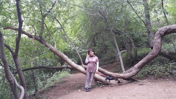 1892b120d0693a73788e5ec33f168b00_1496839