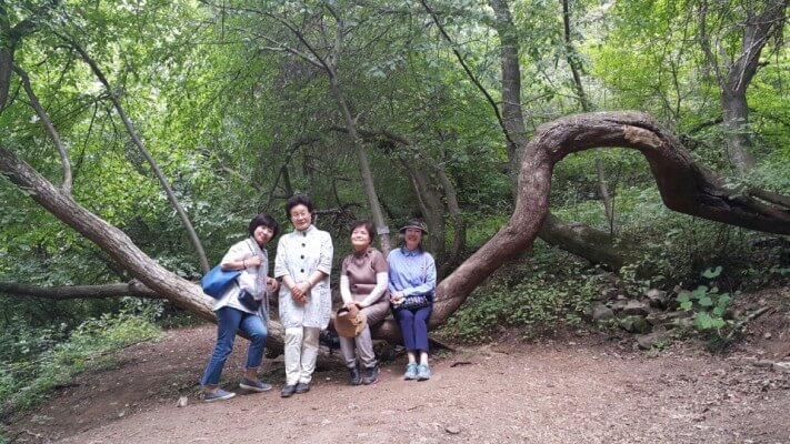 1892b120d0693a73788e5ec33f168b00_1496839