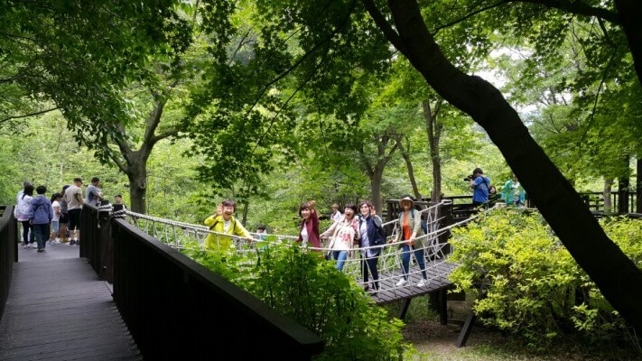 1892b120d0693a73788e5ec33f168b00_1496839