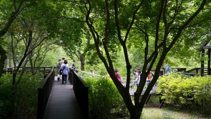 1892b120d0693a73788e5ec33f168b00_1496839