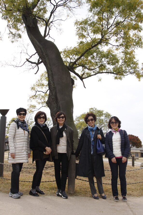 60ddb0d72d84e88359e1772741006f37_1510185