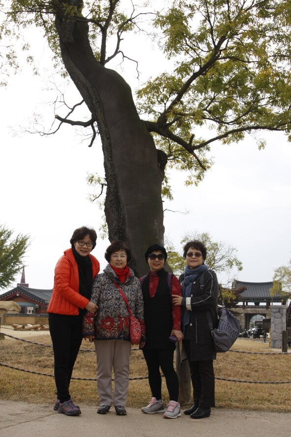 60ddb0d72d84e88359e1772741006f37_1510185