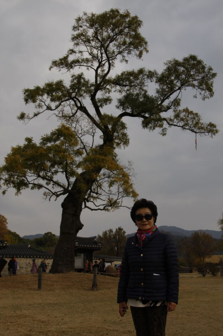 60ddb0d72d84e88359e1772741006f37_1510185