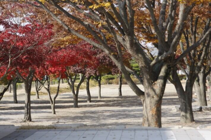 60ddb0d72d84e88359e1772741006f37_1510186