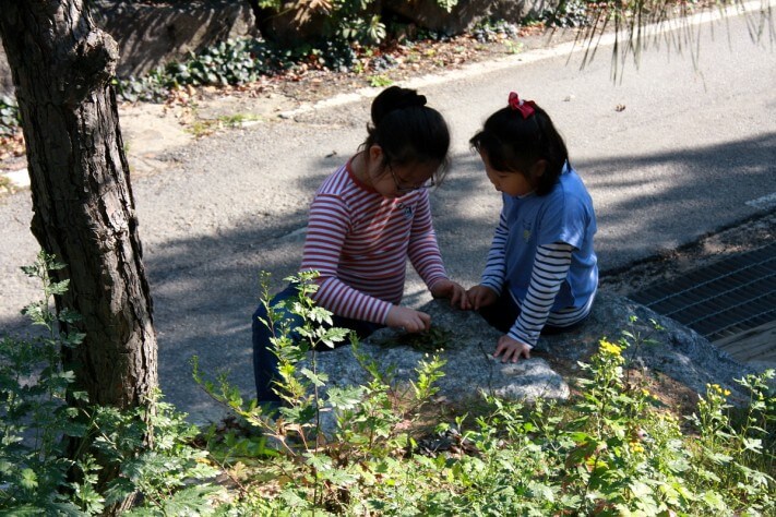 82f4771cc3a8326d2452a235b7b5f49a_1511159