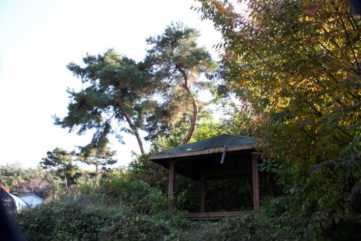 82f4771cc3a8326d2452a235b7b5f49a_1511159