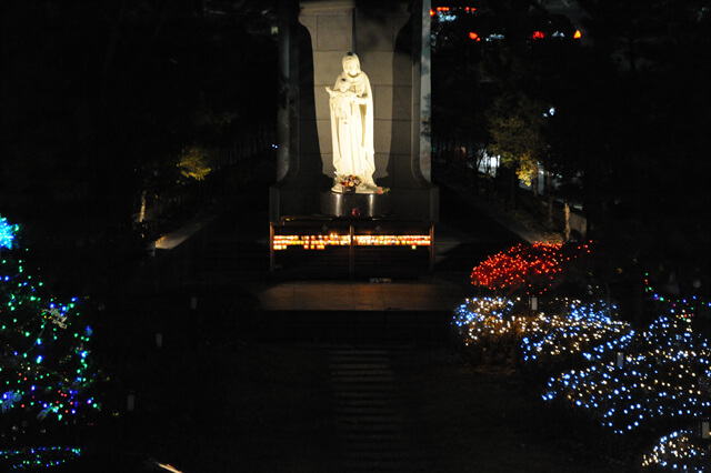 1d7fbc6754e4d1fe950763a06db9177b_1514200