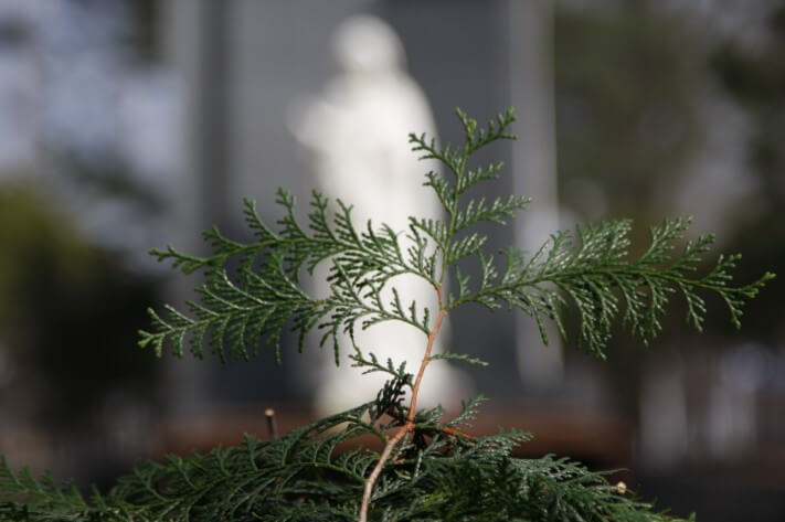 c0fe0c3c08a9f3dad9e7087584e87605_1521986