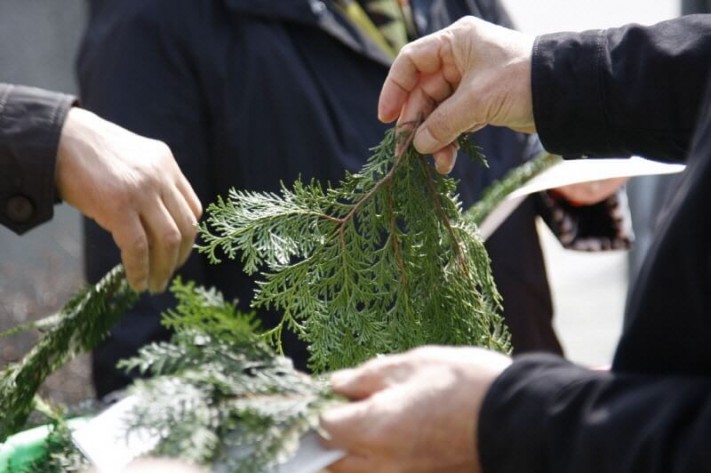 c0fe0c3c08a9f3dad9e7087584e87605_1521986