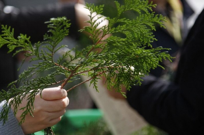 c0fe0c3c08a9f3dad9e7087584e87605_1521987