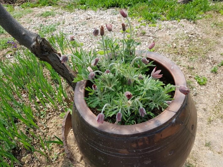 c6a0c0173a29544529982663ec46682c_1524332