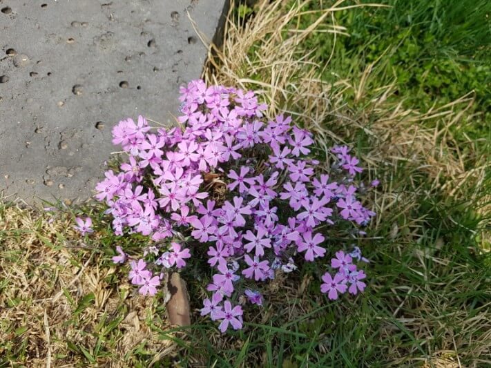 c6a0c0173a29544529982663ec46682c_1524333