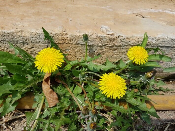 c6a0c0173a29544529982663ec46682c_1524333