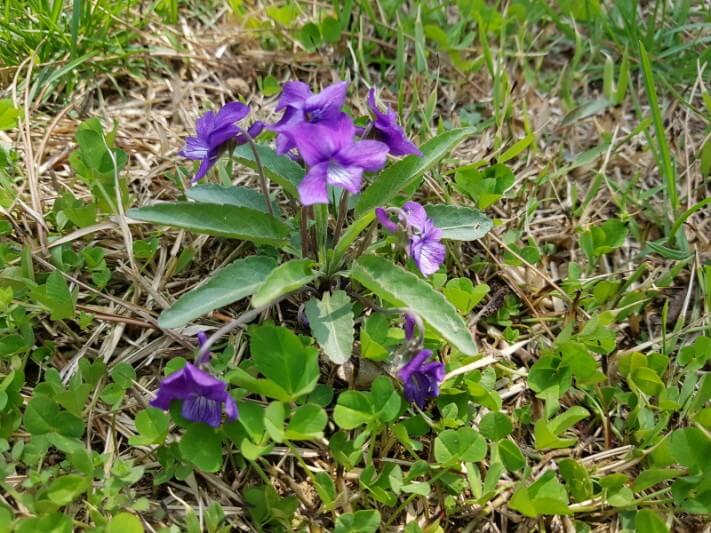 c6a0c0173a29544529982663ec46682c_1524333