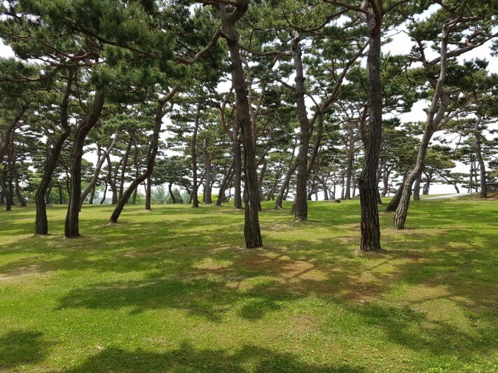 667d82fabd72a4c1e5bc279816bd98d9_1526480