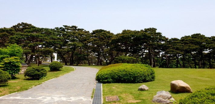 667d82fabd72a4c1e5bc279816bd98d9_1526480