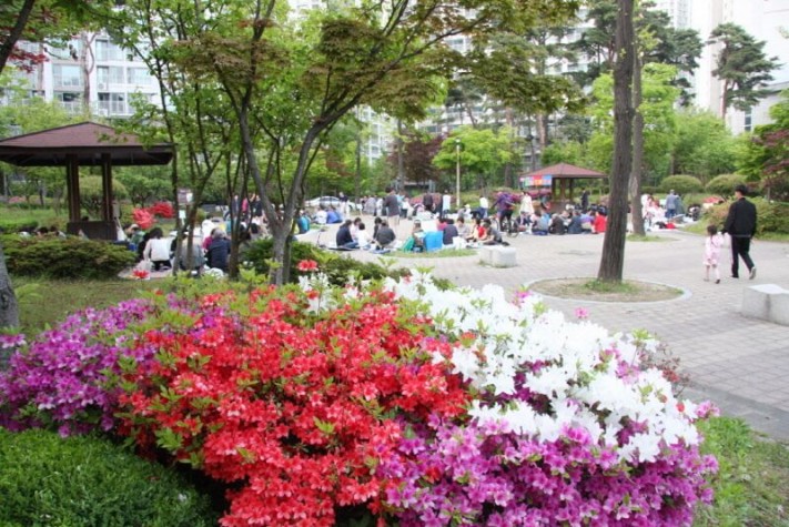 7c455ac2f8aa0756be716e750c6c9a61_1525179