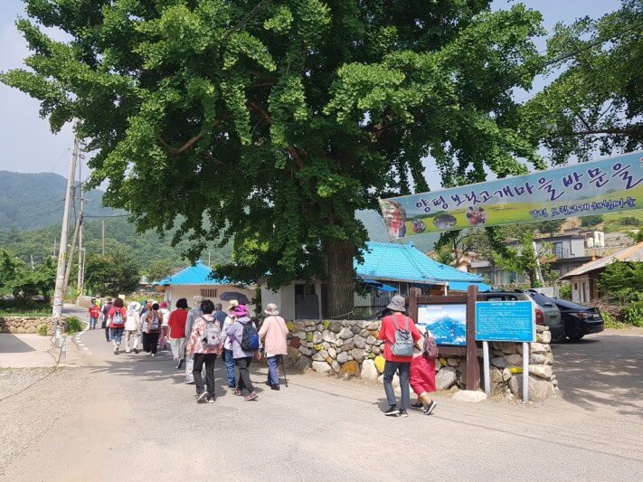 08463ffe1e28dcb4a4fc91b889fdfddd_1528448