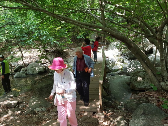 08463ffe1e28dcb4a4fc91b889fdfddd_1528448