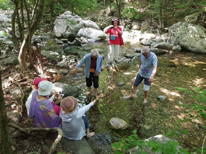 08463ffe1e28dcb4a4fc91b889fdfddd_1528449