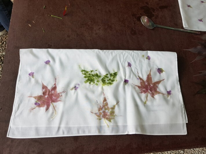 08463ffe1e28dcb4a4fc91b889fdfddd_1528463