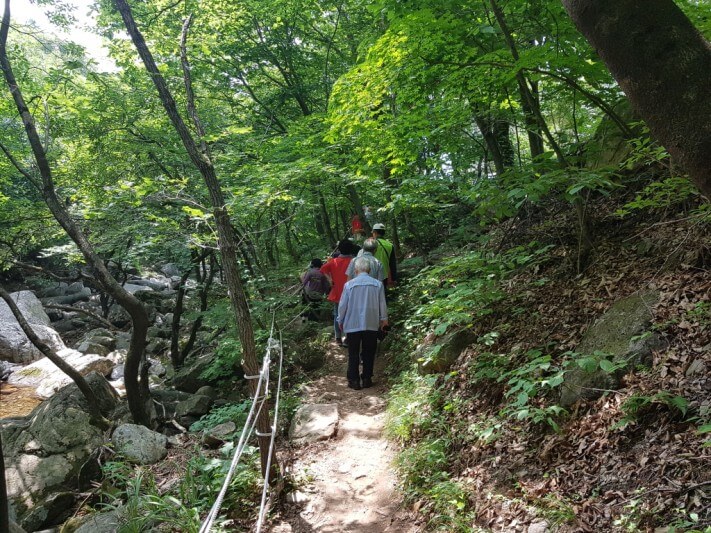 08463ffe1e28dcb4a4fc91b889fdfddd_1528463