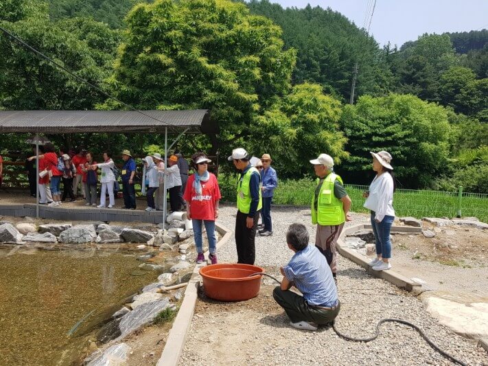 08463ffe1e28dcb4a4fc91b889fdfddd_1528465