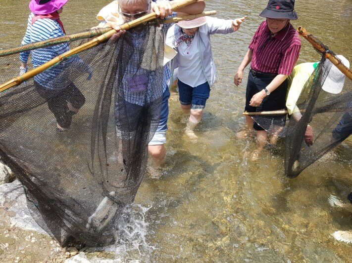 08463ffe1e28dcb4a4fc91b889fdfddd_1528465