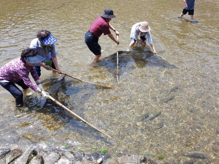 08463ffe1e28dcb4a4fc91b889fdfddd_1528465