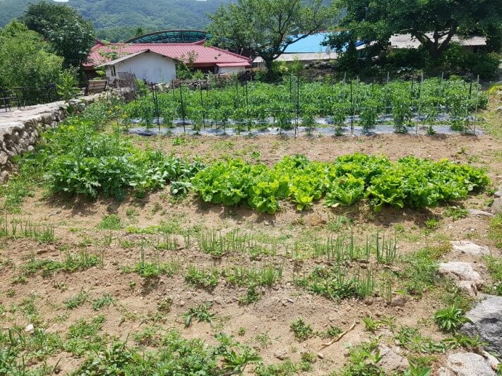 08463ffe1e28dcb4a4fc91b889fdfddd_1528465