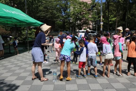 8203317829190574b3a7e94077203b86_1533438