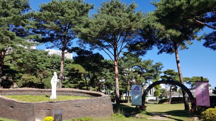 55bc2580333652a30b6e6fd0a1d7c7b2_1538726