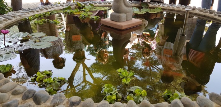 76dd3a9170190aab047028938a47ce32_1559140