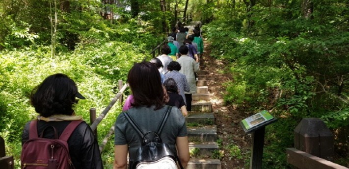 76dd3a9170190aab047028938a47ce32_1559140