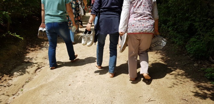 76dd3a9170190aab047028938a47ce32_1559140