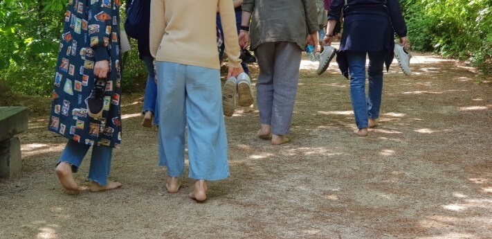 76dd3a9170190aab047028938a47ce32_1559140