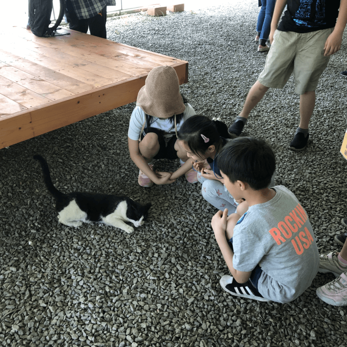 ac9855d976b2cf580a7a7e18af038687_1559120