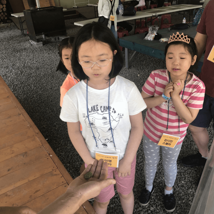 ac9855d976b2cf580a7a7e18af038687_1559120