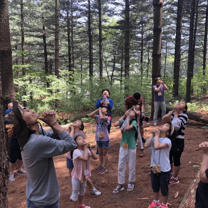 ac9855d976b2cf580a7a7e18af038687_1559120