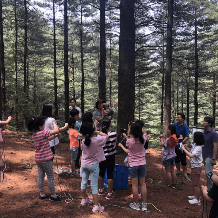 ac9855d976b2cf580a7a7e18af038687_1559120