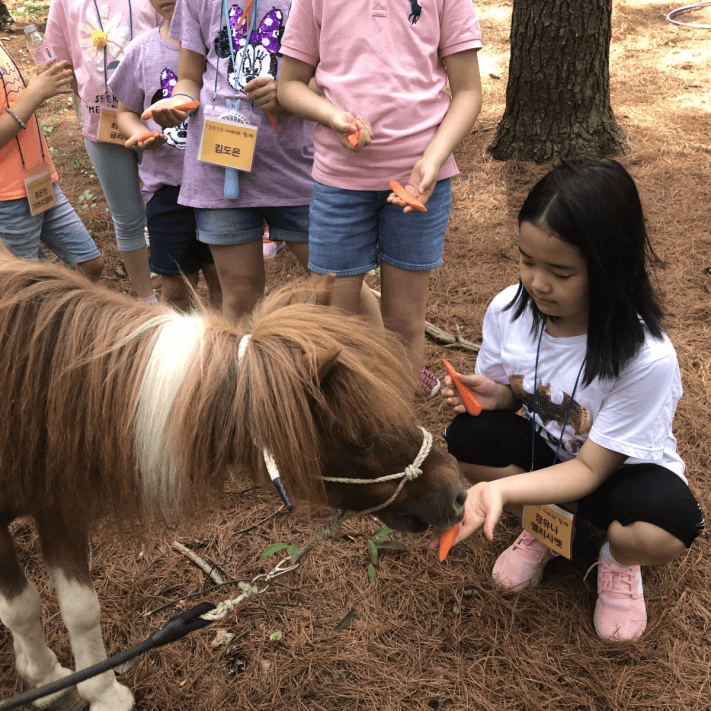 ac9855d976b2cf580a7a7e18af038687_1559120