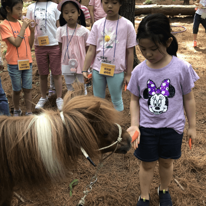 ac9855d976b2cf580a7a7e18af038687_1559120