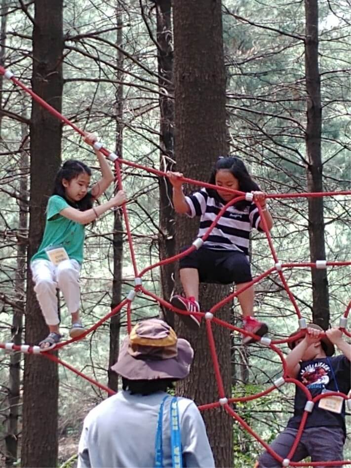 ac9855d976b2cf580a7a7e18af038687_1559120