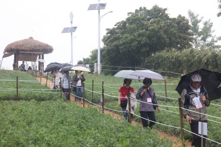 b2392e4f857d7cab2ce7e5cea334cd70_1558359