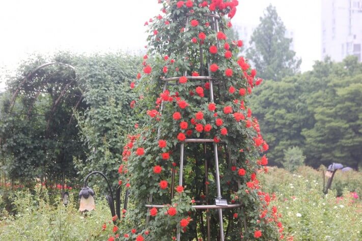 b2392e4f857d7cab2ce7e5cea334cd70_1558359