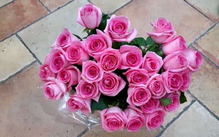 cc47bf0f3bb42d1c016e457608e363c7_1558537