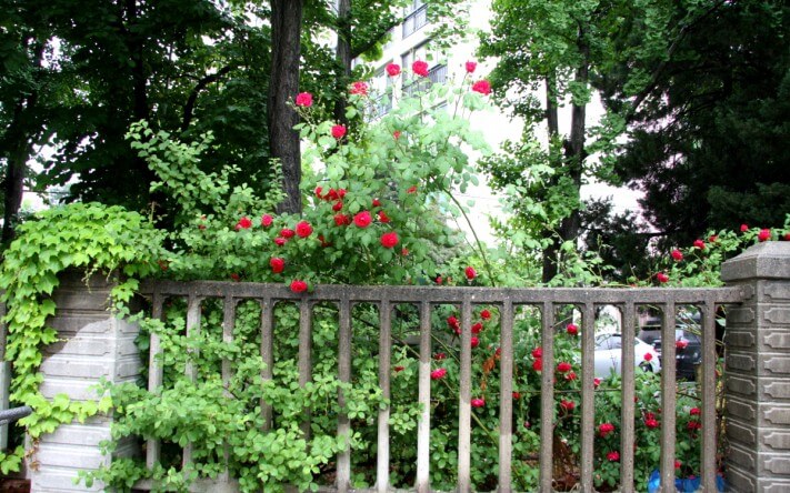 cc47bf0f3bb42d1c016e457608e363c7_1558537