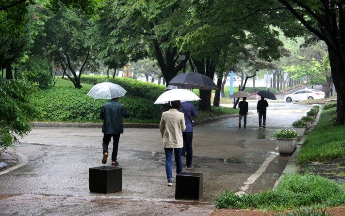 cc47bf0f3bb42d1c016e457608e363c7_1558537