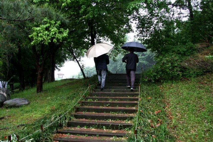 cc47bf0f3bb42d1c016e457608e363c7_1558537