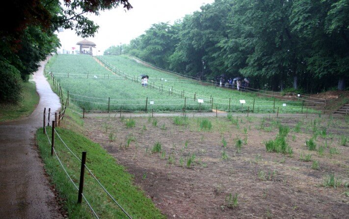 cc47bf0f3bb42d1c016e457608e363c7_1558537